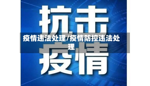 疫情违法处理/疫情防控违法处理-第2张图片