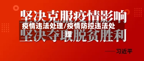 疫情违法处理/疫情防控违法处理