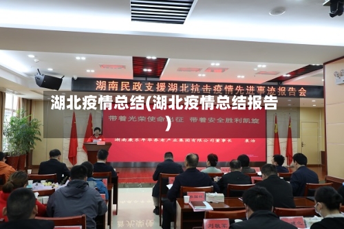 湖北疫情总结(湖北疫情总结报告)