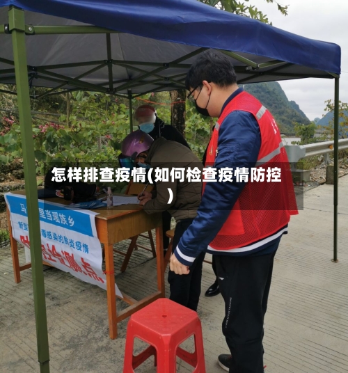 怎样排查疫情(如何检查疫情防控)-第2张图片