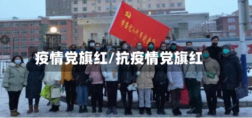 疫情党旗红/抗疫情党旗红-第3张图片