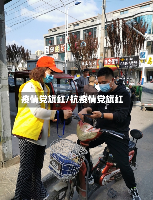疫情党旗红/抗疫情党旗红-第2张图片