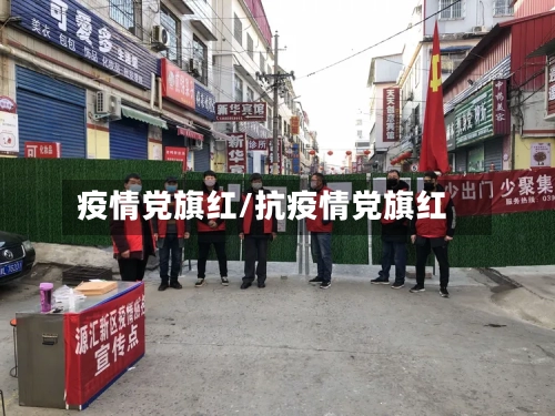 疫情党旗红/抗疫情党旗红