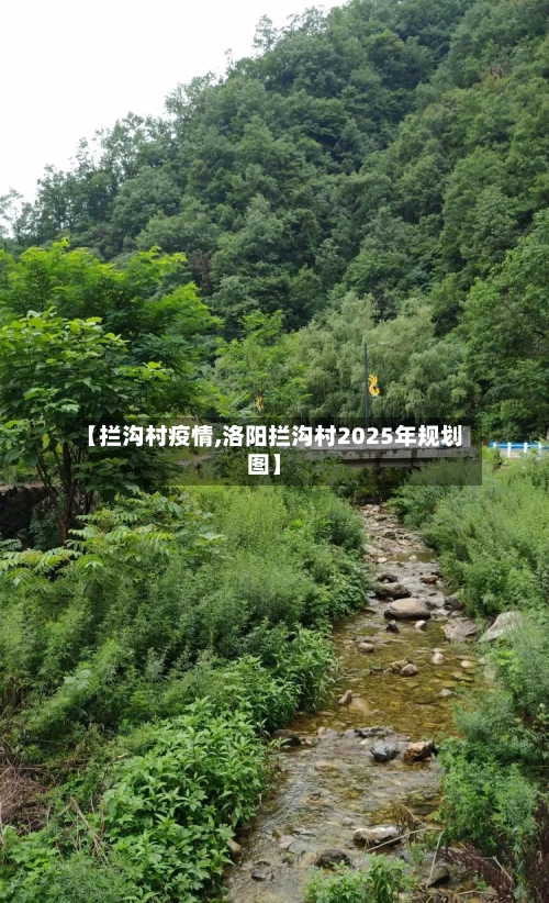 【拦沟村疫情,洛阳拦沟村2025年规划图】