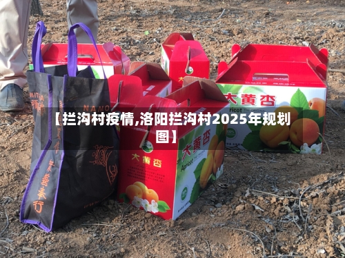 【拦沟村疫情,洛阳拦沟村2025年规划图】-第2张图片