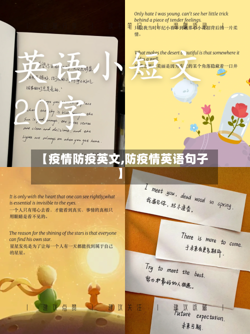 【疫情防疫英文,防疫情英语句子】