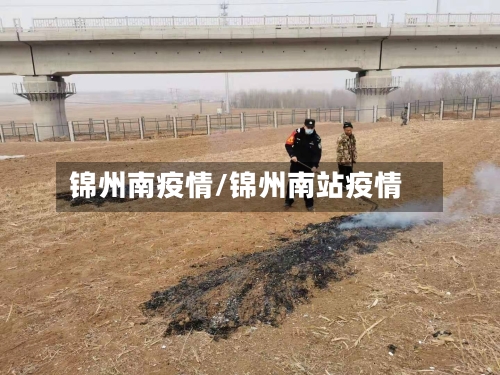 锦州南疫情/锦州南站疫情