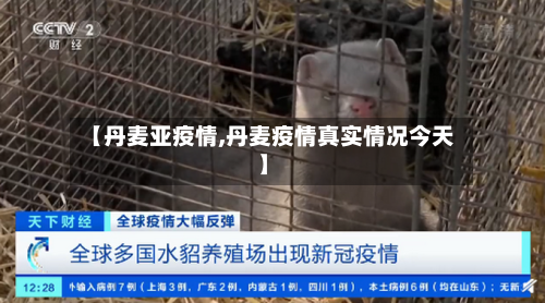 【丹麦亚疫情,丹麦疫情真实情况今天】