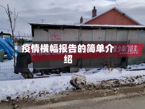 疫情横幅报告的简单介绍-第2张图片