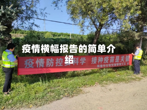 疫情横幅报告的简单介绍-第3张图片