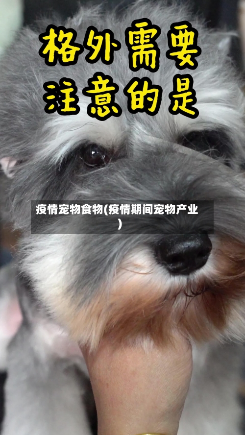 疫情宠物食物(疫情期间宠物产业)-第2张图片
