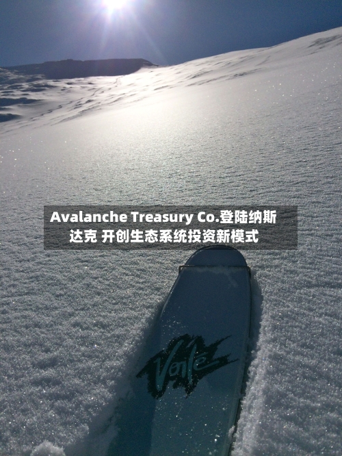 Avalanche Treasury Co.登陆纳斯达克 开创生态系统投资新模式-第2张图片