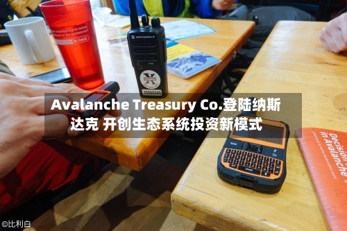 Avalanche Treasury Co.登陆纳斯达克 开创生态系统投资新模式