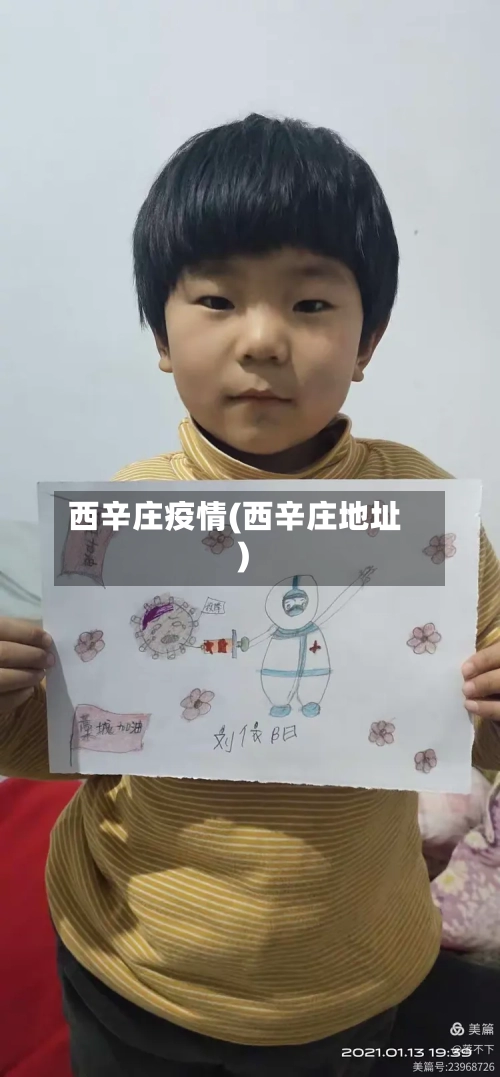 西辛庄疫情(西辛庄地址)-第2张图片