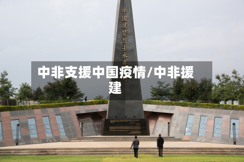 中非支援中国疫情/中非援建