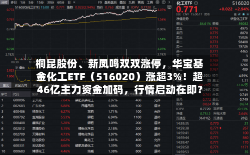桐昆股份、新凤鸣双双涨停，华宝基金化工ETF（516020）涨超3%！超46亿主力资金加码	，行情启动在即？-第2张图片