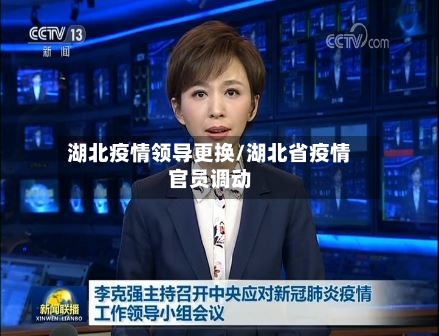 湖北疫情领导更换/湖北省疫情官员调动-第2张图片