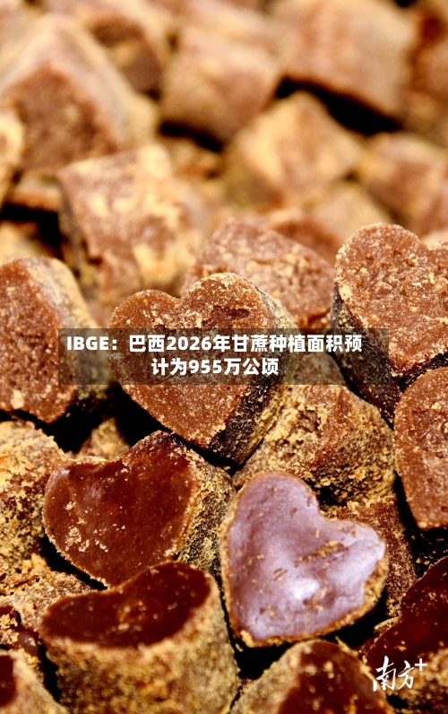 IBGE：巴西2026年甘蔗种植面积预计为955万公顷
