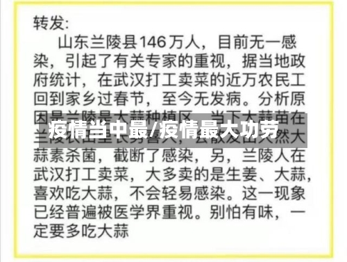 疫情当中最/疫情最大功劳