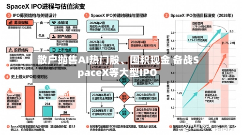 散户抛售AI热门股、囤积现金 备战SpaceX等大型IPO