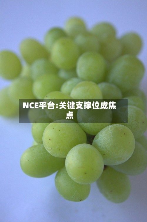 NCE平台:关键支撑位成焦点-第3张图片