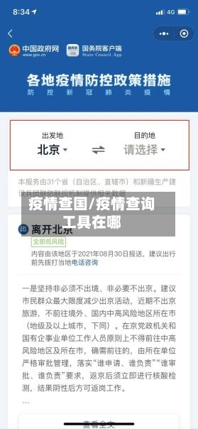 疫情查国/疫情查询工具在哪-第2张图片