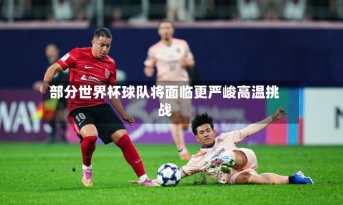 部分世界杯球队将面临更严峻高温挑战-第2张图片