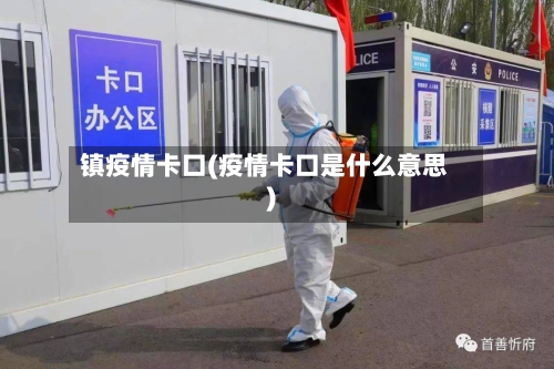 镇疫情卡口(疫情卡口是什么意思)