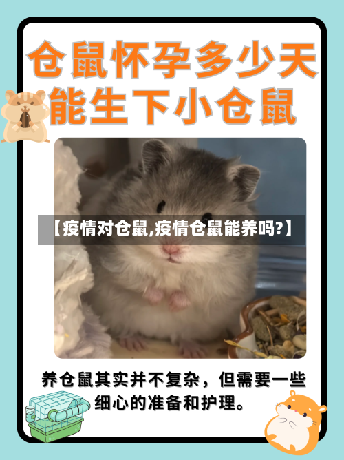 【疫情对仓鼠,疫情仓鼠能养吗?】-第3张图片