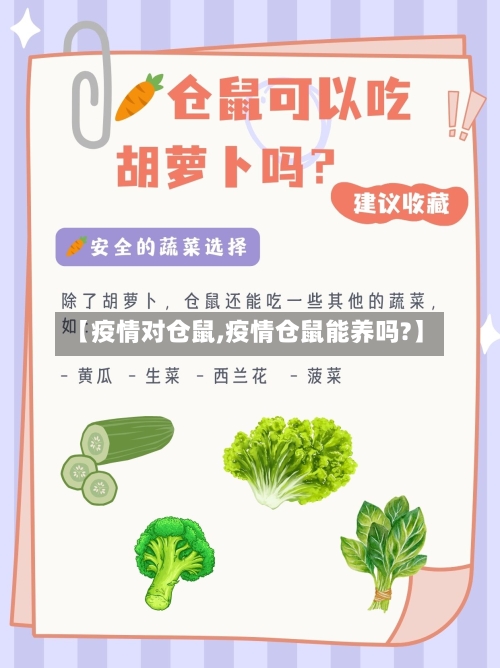 【疫情对仓鼠,疫情仓鼠能养吗?】