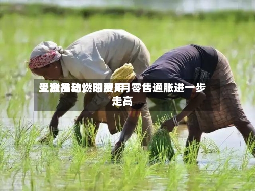 受食品与燃油费用上涨推动，印度5月零售通胀进一步走高