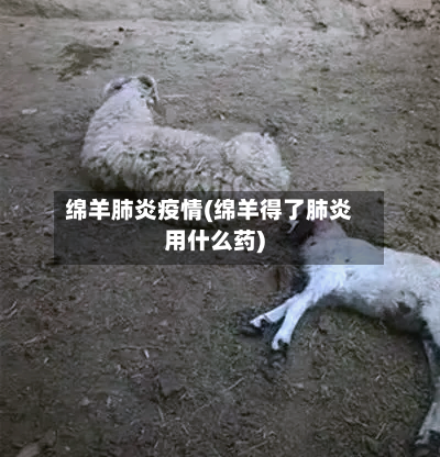 绵羊肺炎疫情(绵羊得了肺炎用什么药)