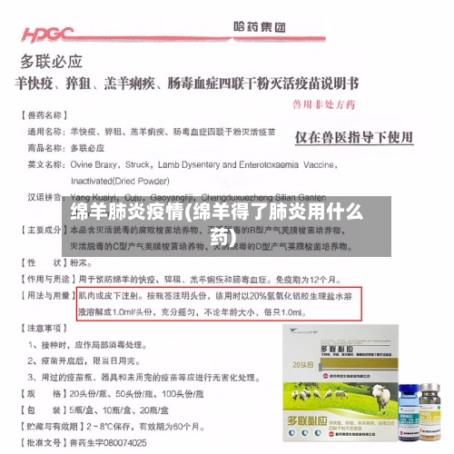 绵羊肺炎疫情(绵羊得了肺炎用什么药)-第2张图片