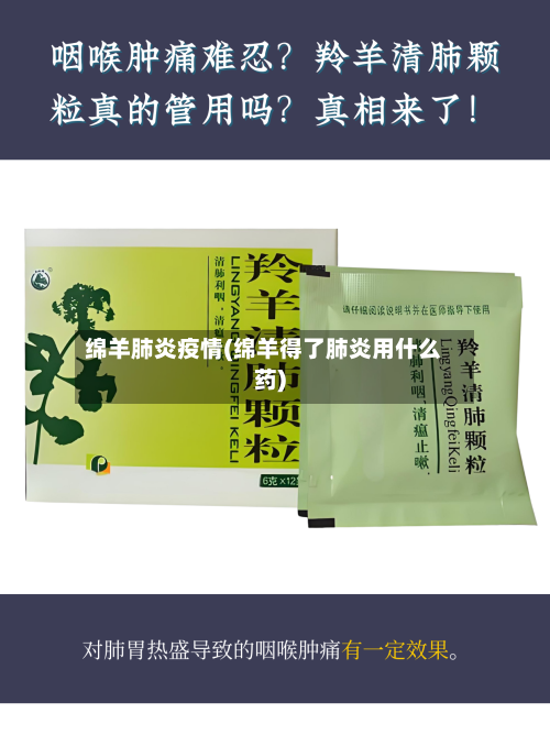 绵羊肺炎疫情(绵羊得了肺炎用什么药)-第3张图片