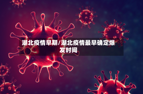 湖北疫情早期/湖北疫情最早确定爆发时间