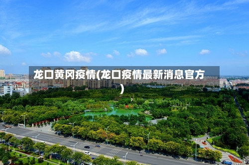 龙口黄冈疫情(龙口疫情最新消息官方)