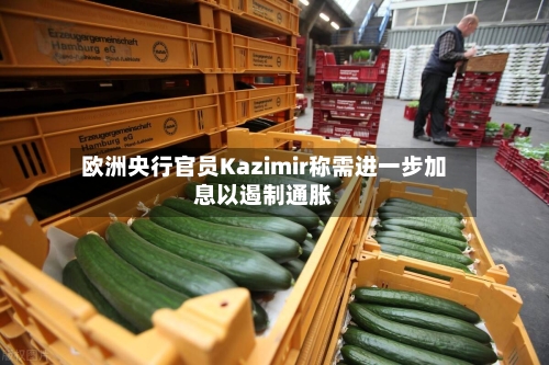 欧洲央行官员Kazimir称需进一步加息以遏制通胀
