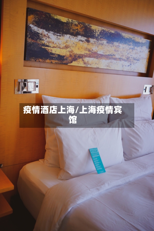 疫情酒店上海/上海疫情宾馆