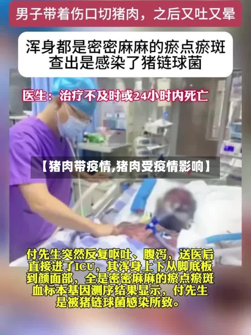 【猪肉带疫情,猪肉受疫情影响】