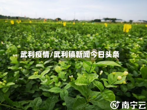武利疫情/武利镇新闻今日头条-第2张图片