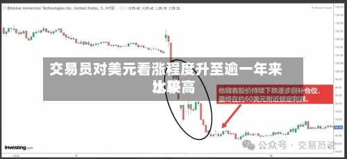 交易员对美元看涨程度升至逾一年来比较高
水平-第3张图片