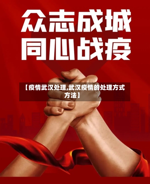 【疫情武汉处理,武汉疫情的处理方式方法】-第2张图片