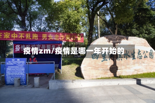 疫情zm/疫情是哪一年开始的