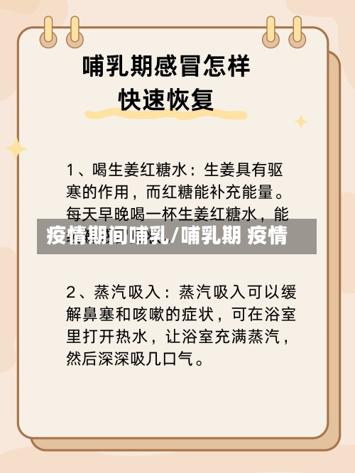 疫情期间哺乳/哺乳期 疫情