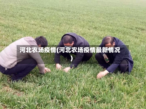 河北农场疫情(河北农场疫情最新情况)-第2张图片
