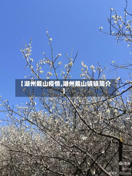 【湖州戴山疫情,湖州戴山镇镇简介】-第2张图片