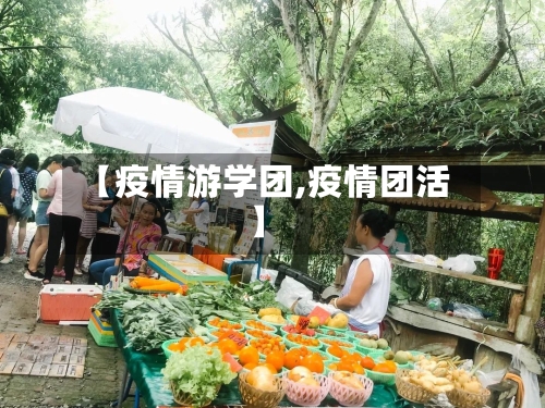 【疫情游学团,疫情团活】