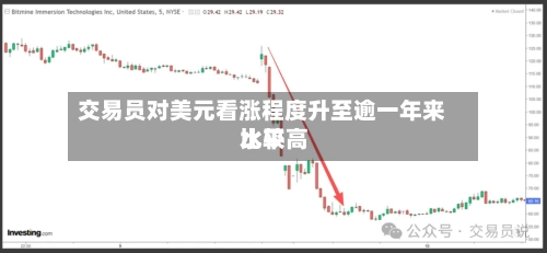 交易员对美元看涨程度升至逾一年来比较高水平