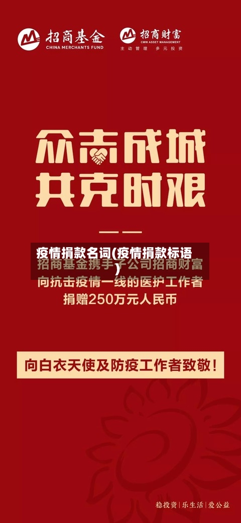 疫情捐款名词(疫情捐款标语)-第2张图片