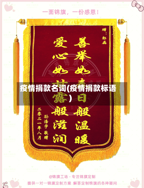 疫情捐款名词(疫情捐款标语)